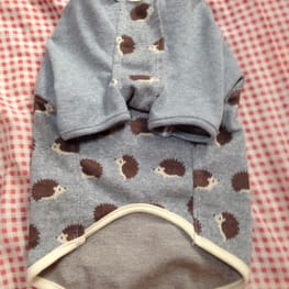 ラッフルスリーブトップス