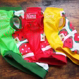 バルーンブラウス