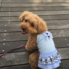 kuuminさんの作品