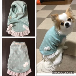 バックオープンベスト