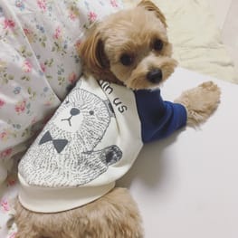 トレーナー・3Wayパーカー