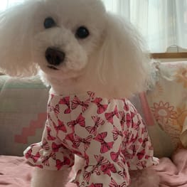 ベーシックラグランTシャツ