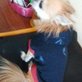 ダウンジャケット