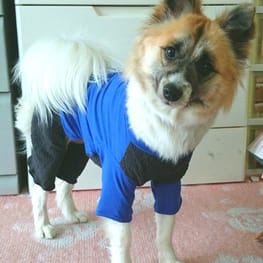 パンツ/サロペット