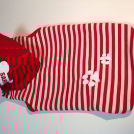 ベーシックタンクトップ&Tシャツ