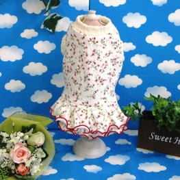 バルーンブラウス