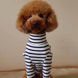 ベーシックタンクトップ&Tシャツ