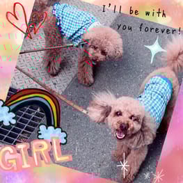 ベーシックラグランTシャツ