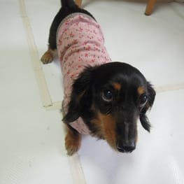 ベーシックタンクトップ&Tシャツ