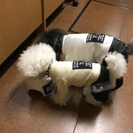 ダウンジャケット