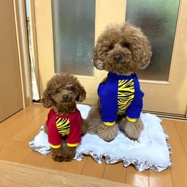 みかんさんの作品