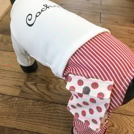 オーバーレインコート