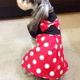 バルーンブラウス