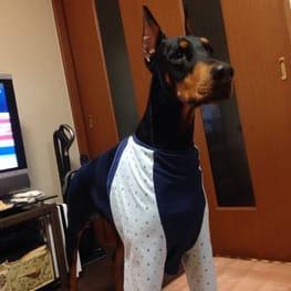 ベーシックラグランTシャツ