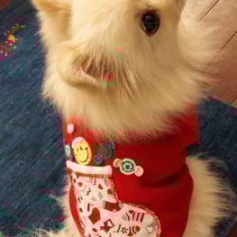 にこママさんの作品