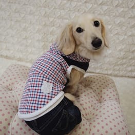 パーカー/トレーナー