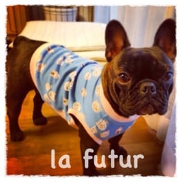 パーカー/トレーナー