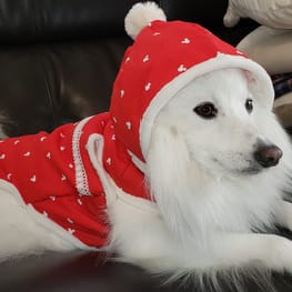 はるさんの作品