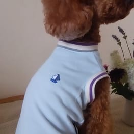 ベーシックタンクトップ&Tシャツ