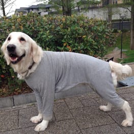 ベーシックタンクトップ&Tシャツ