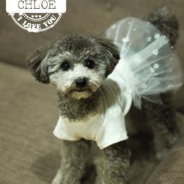 ベーシックタンクトップ&Tシャツ