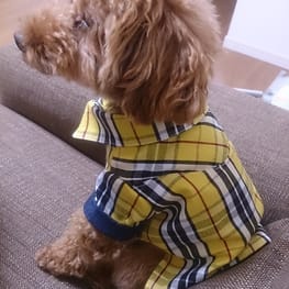 スカート/サロペット