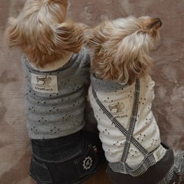 ダウンジャケット