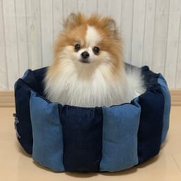 ラッフルスリーブトップス