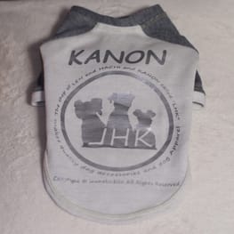 ベーシックラグランTシャツ