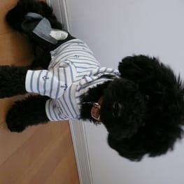 うさぎ/パンダ変身コスチューム