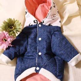 バルーンブラウス