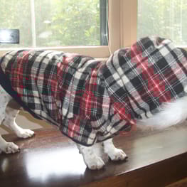 スカート/サロペット