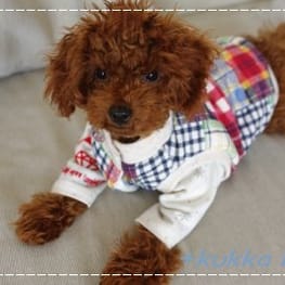 ベーシックタンクトップ&Tシャツ