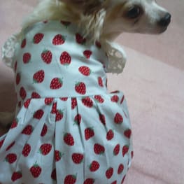 並子さんの作品