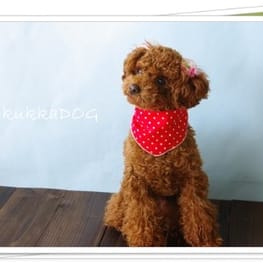 リボンワンピース