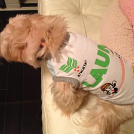 スカート/サロペット