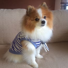 feelgoodさんの作品