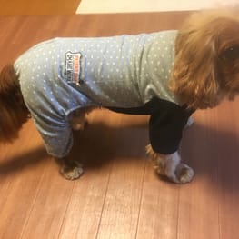 カバーオール(つなぎ)