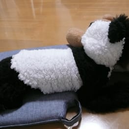 くろねこまめさんの作品