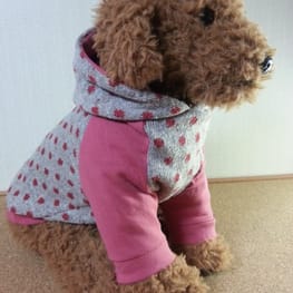 パーカー/トレーナー