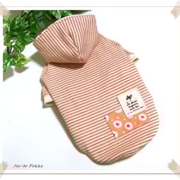 ラッフルスリーブトップス