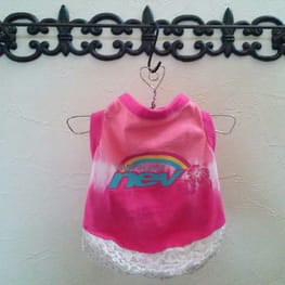 サニタリー・マナーパンツ