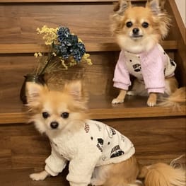 トレーナー・3Wayパーカー