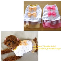 ベーシックタンクトップ&Tシャツ