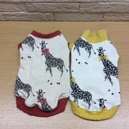 ベーシックラグランTシャツ