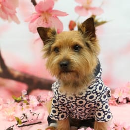 スカート/サロペット