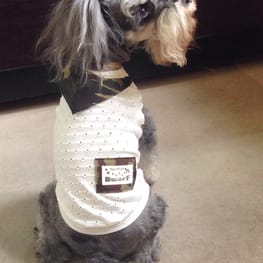 ダウンジャケット