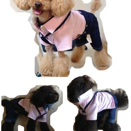 サニタリー・マナーパンツ