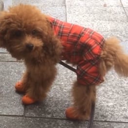 パンツ/サロペット