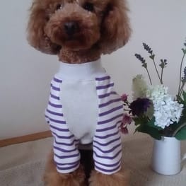 ベーシックタンクトップ&Tシャツ